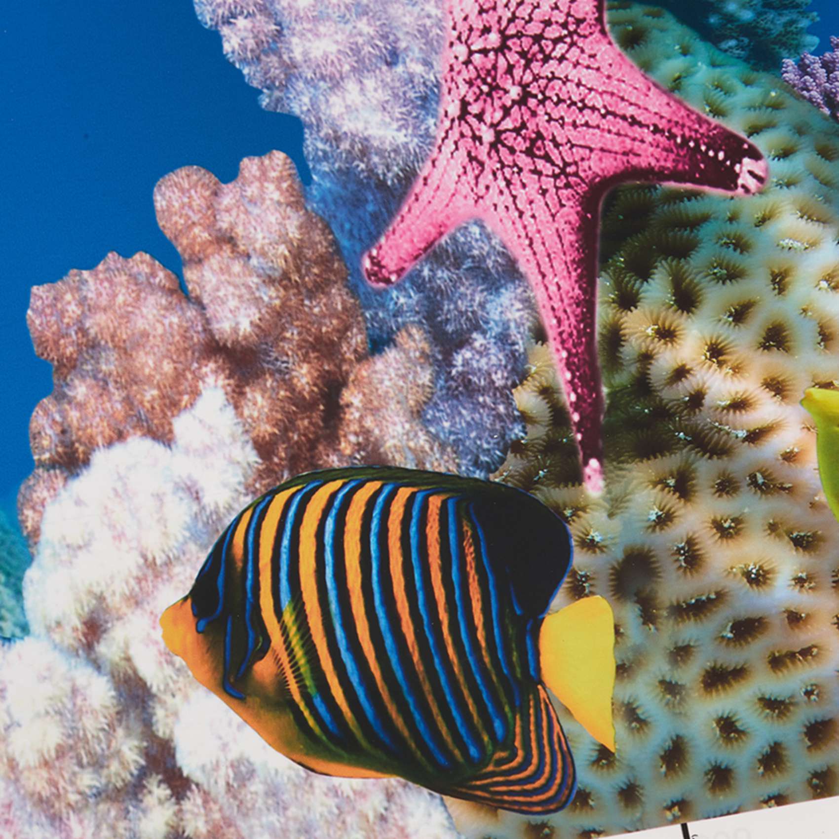 Aquarium Fish Wallpaper Hd - ABWR-Akvaryum Arka Plan Kağıdı HD Resim