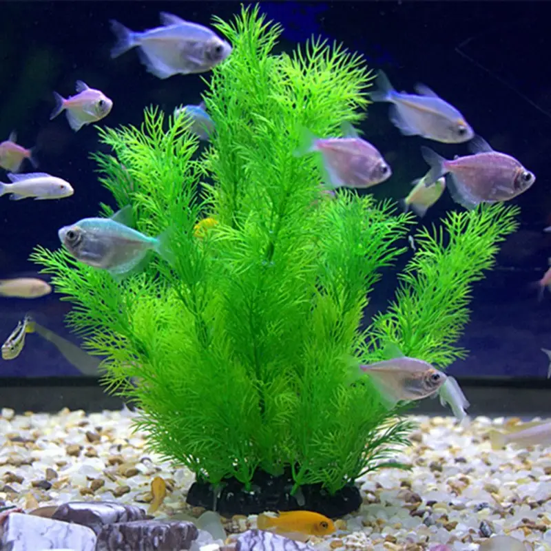 Aquarium Fish Games - Yapay Akvaryum Dekor Bitkiler Sualtı Su