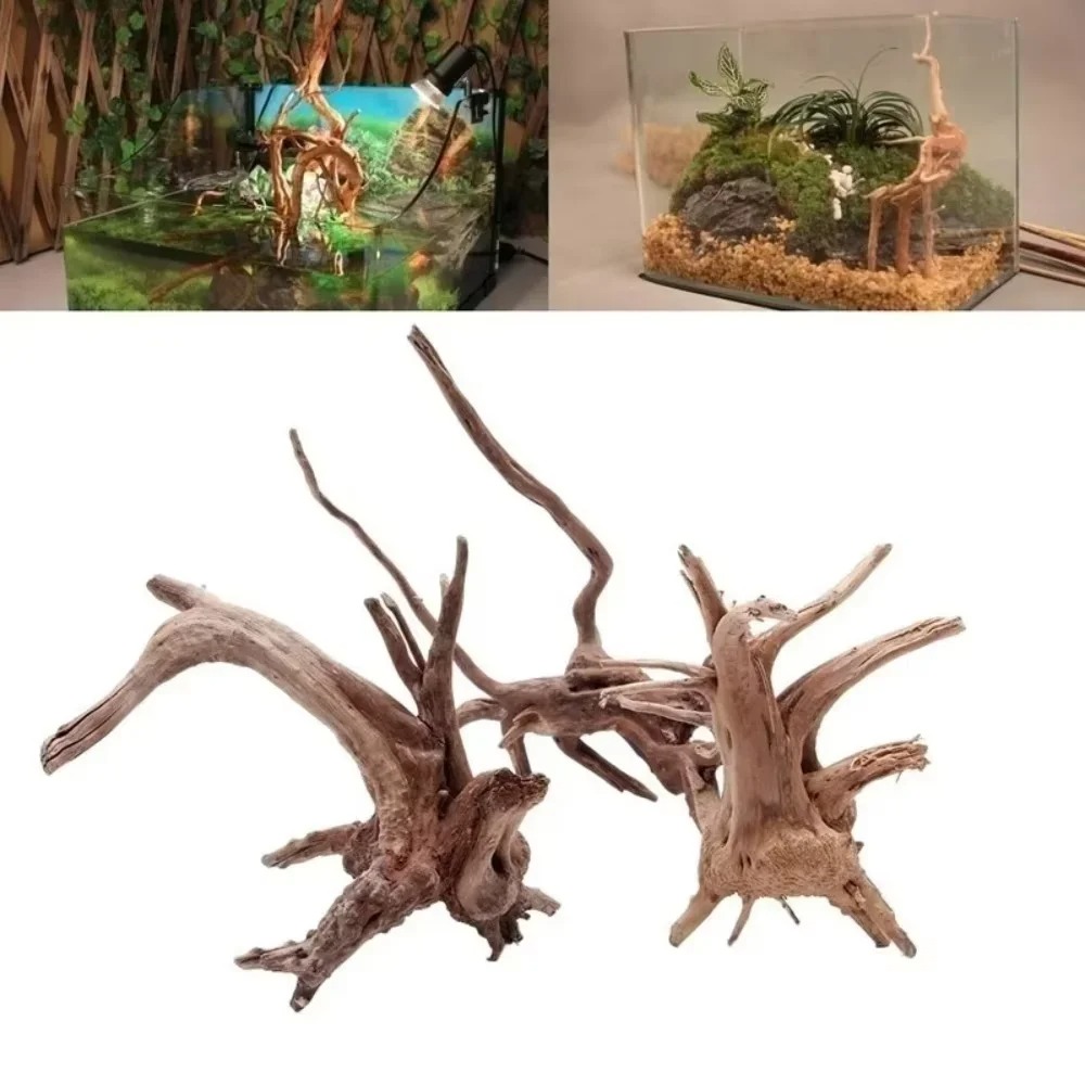 Aquarium Fish Gallery - 15-20CM Doğal Kök Ağacı Akvaryum Dekoru
