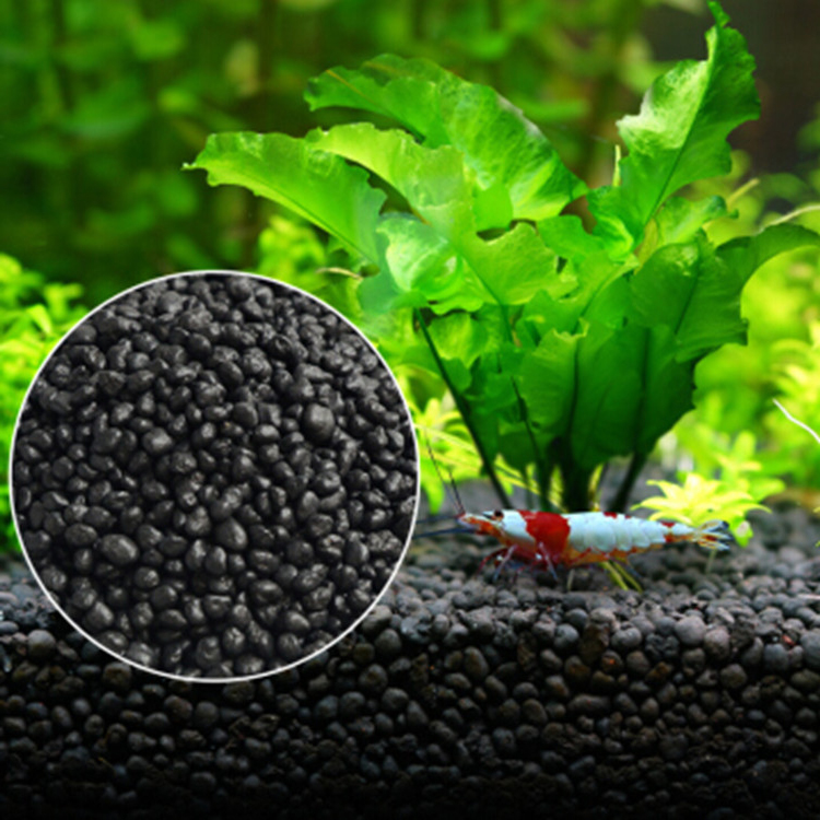 Aquarium Fish Freshwater - Akvaryum bitki tohumları toprak balık tankı