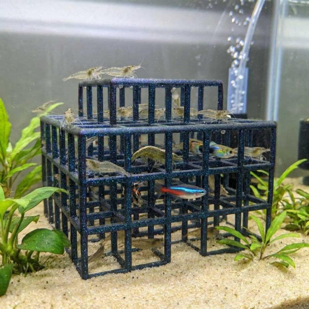 Aquarium Fish Games - 3D Baskılı Balık Karides Saklanma Yeri