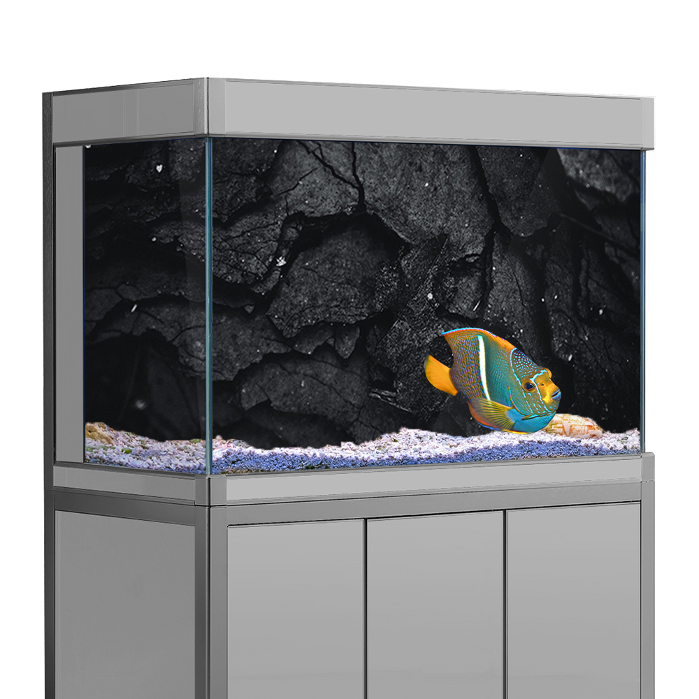Aquarium Fish Wallpaper Hd - Akvaryum Arka Plan Etiketi, Kaya Taş
