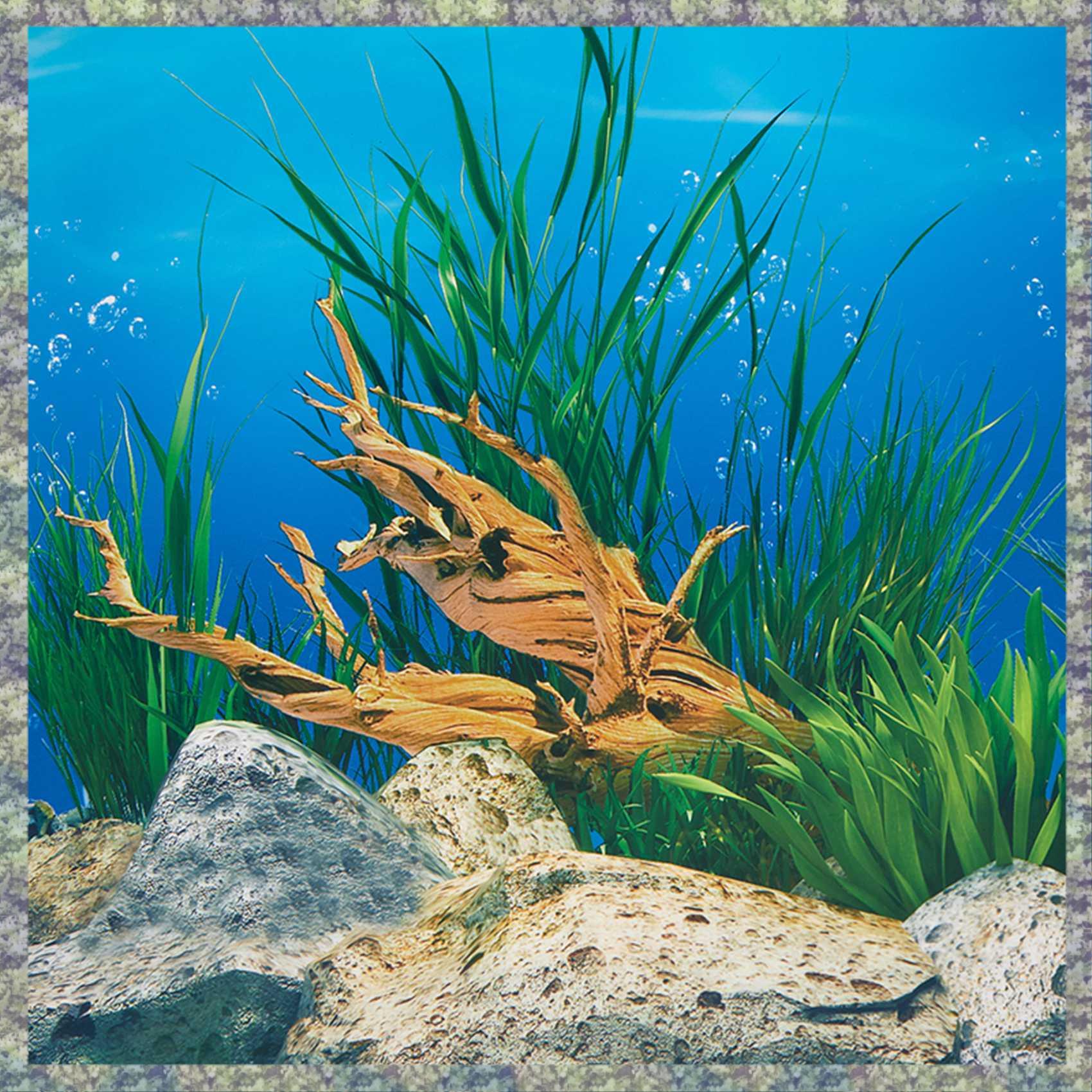 Aquarium Fish Wallpaper Hd - WON Akvaryum Arka Plan Kağıdı HD