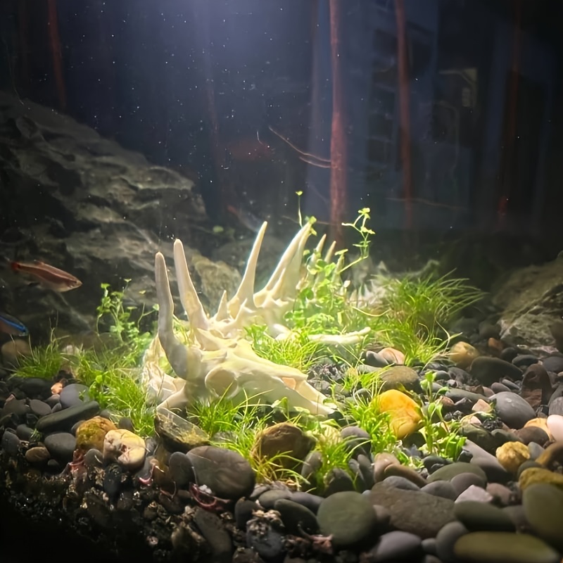1 adet Ejderha Şeklinde Balık  - Aquarium Fish Games incelemesi ve fiyatı