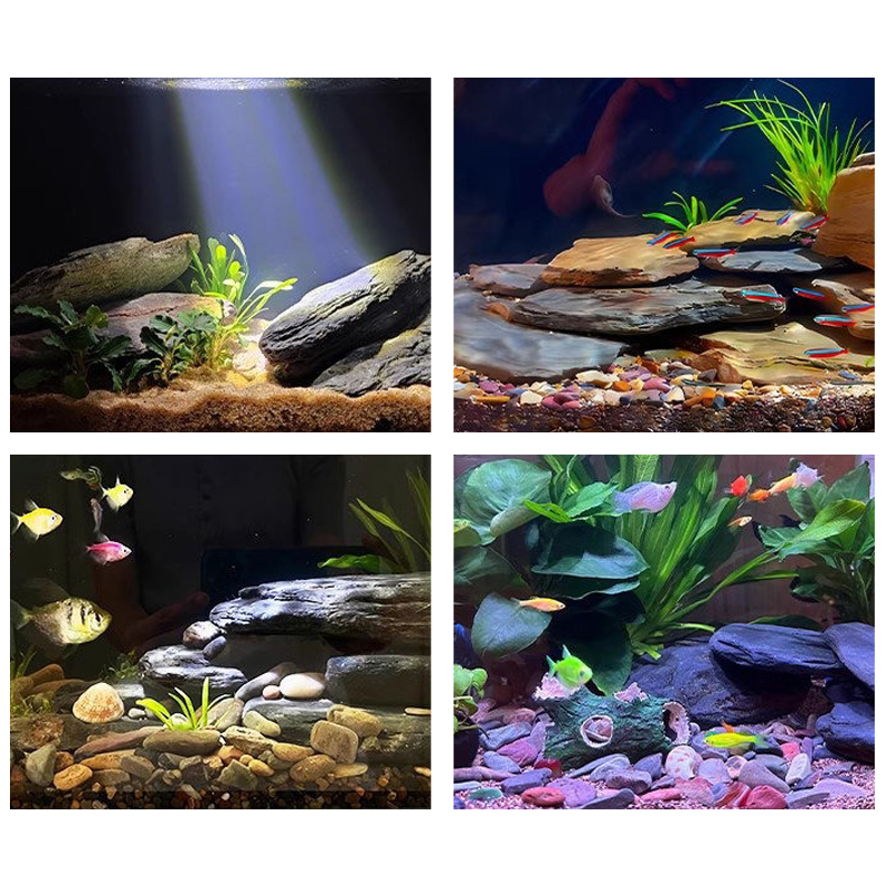 500/1000g Balık Tankı Peyzaj T - Aquarium Fish Gallery incelemesi ve fiyatı