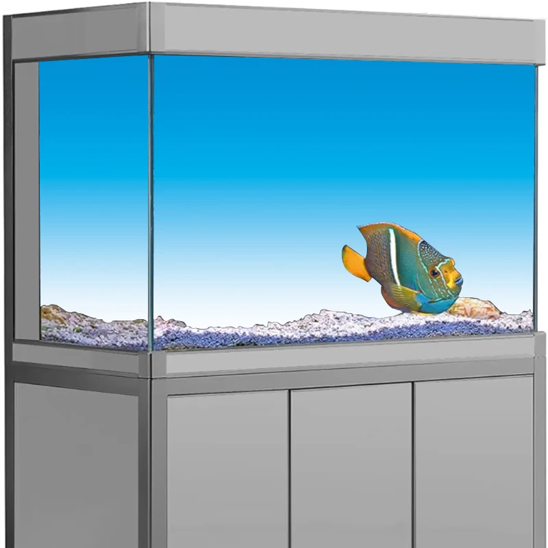 Akvaryum Arka Plan Çıkartması, - Aquarium Fish Wallpaper Hd incelemesi ve fiyatı