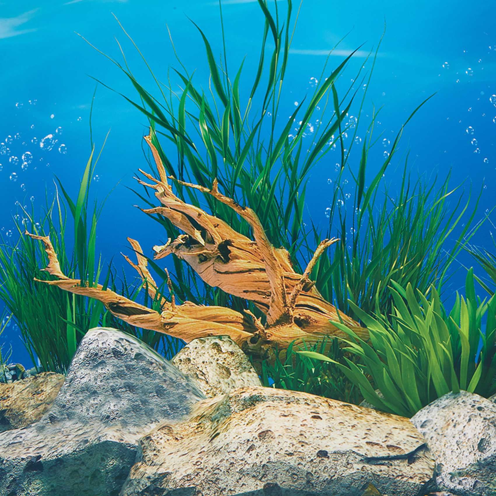 ABWR-Akvaryum Arka Plan Kağıdı - Aquarium Fish Wallpaper Hd incelemesi ve fiyatı