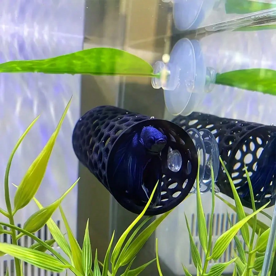 Akvaryum Balık Hideout Siyah I - Aquarium Fish Games incelemesi ve fiyatı
