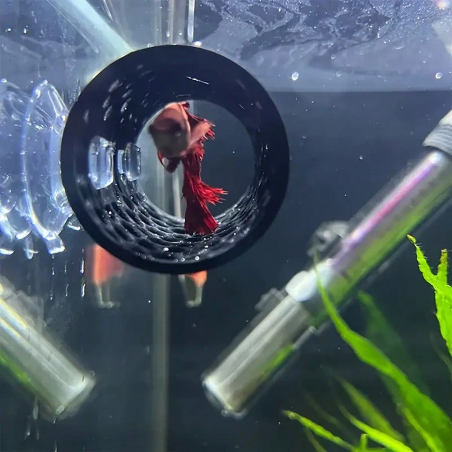 Akvaryum Balık Hideout Siyah I - Aquarium Fish Games incelemesi ve fiyatı