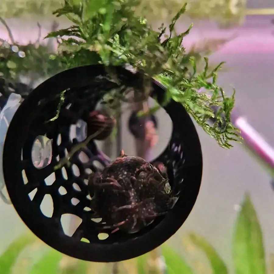 Akvaryum Balık Hideout Siyah I - Aquarium Fish Games incelemesi ve fiyatı