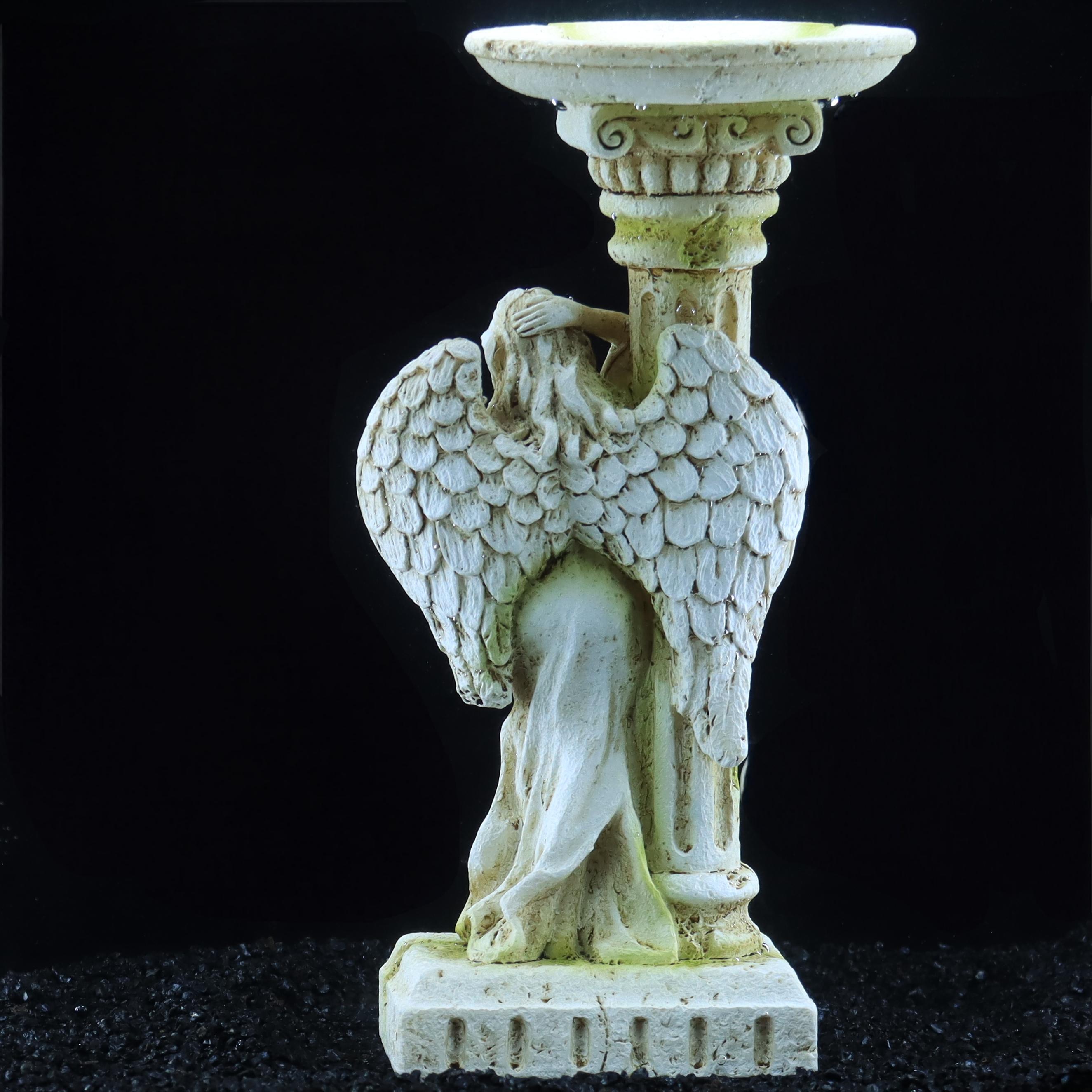 Roma meleği, vintage romantik  - Aquarium Fish Angel incelemesi ve fiyatı