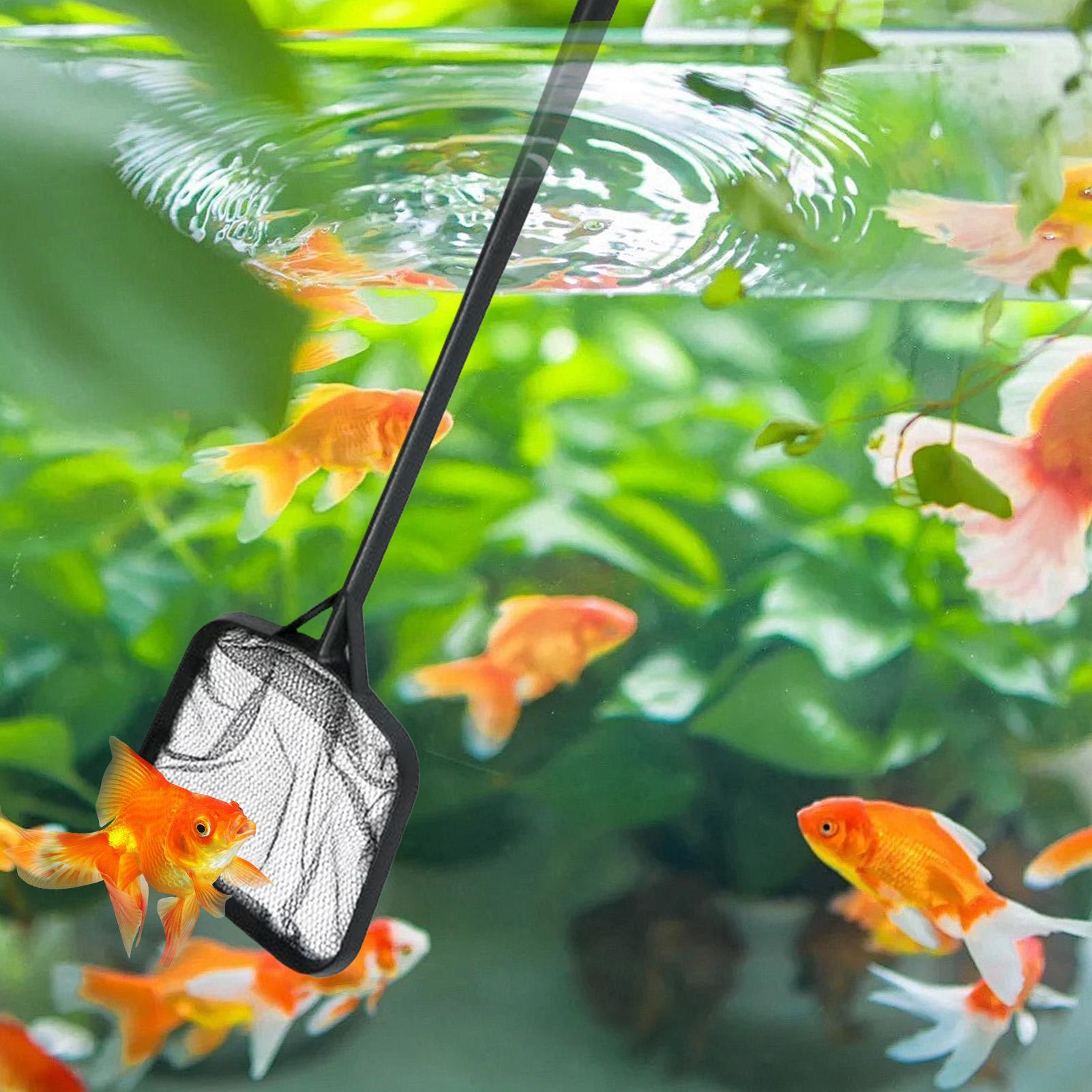 Havuz Temizleme Ağları Taşınab - Aquarium Fish Maintenance incelemesi ve fiyatı