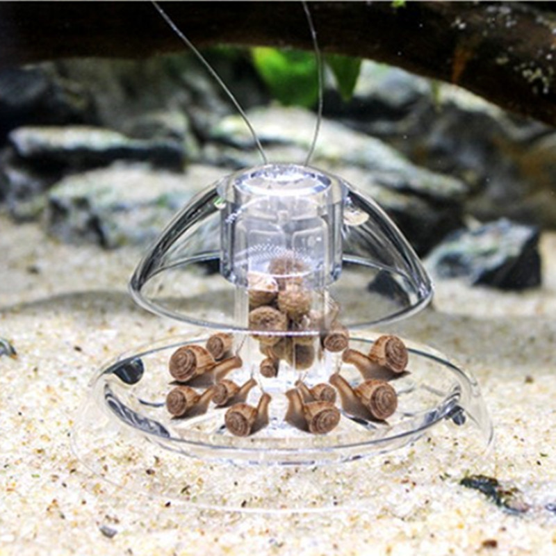1 adet balık tankı akvaryum te - Aquarium Fish Maintenance incelemesi ve fiyatı