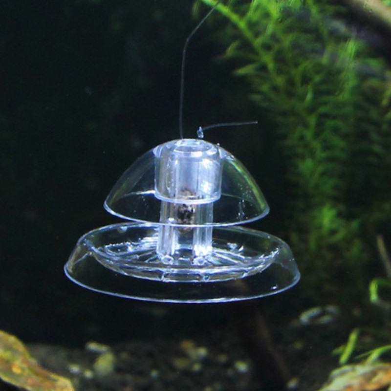 1 adet balık tankı akvaryum te - Aquarium Fish Maintenance incelemesi ve fiyatı
