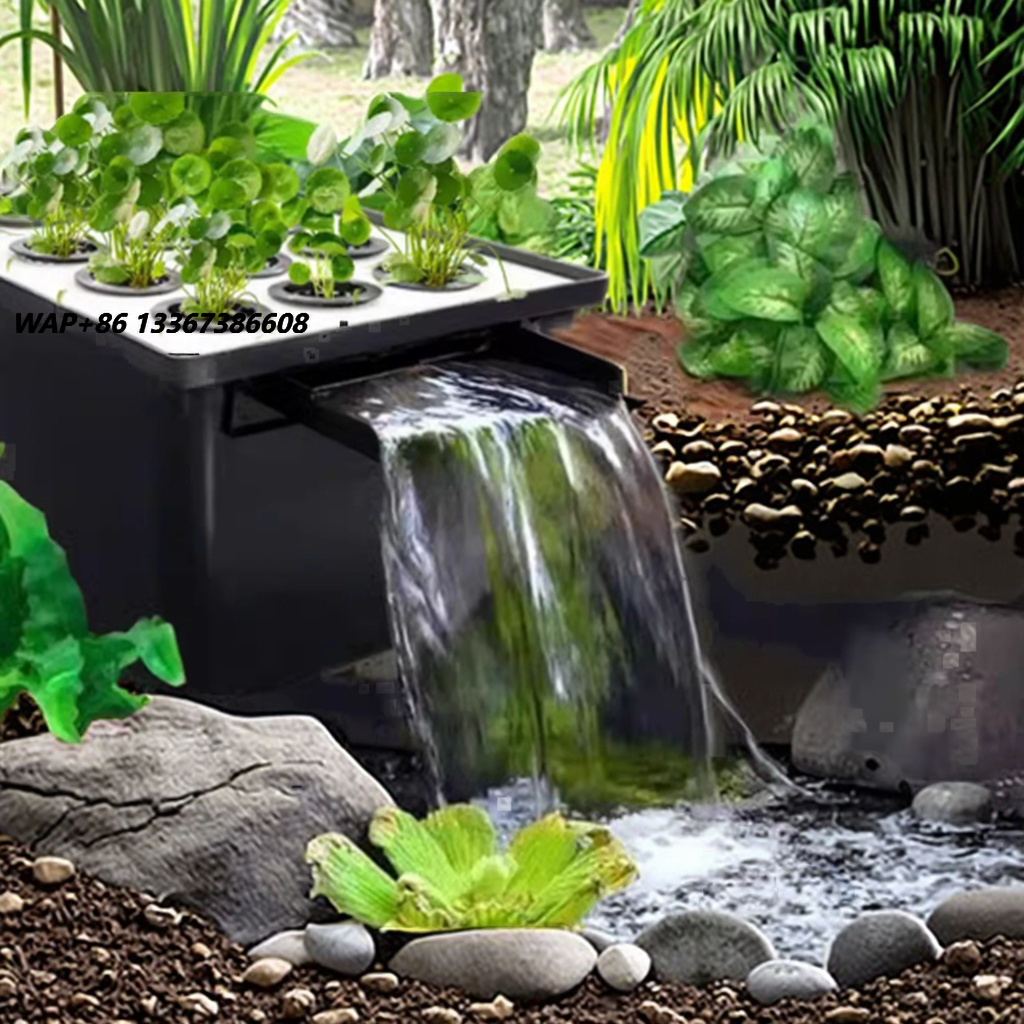 Fabrika Çıkışlı Açık Hava Bahç - Aquarium Fish In Pond incelemesi ve fiyatı
