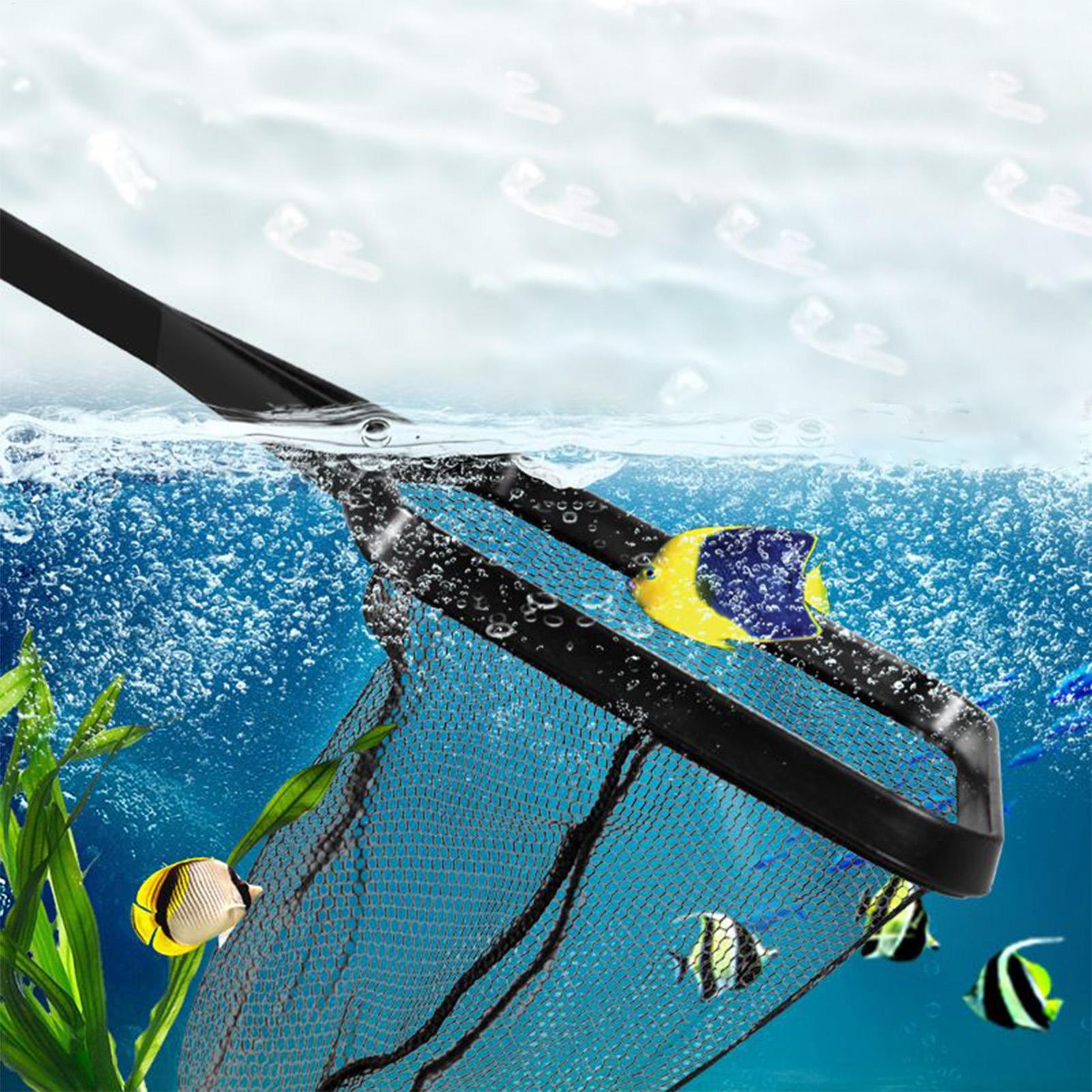 Havuz Net Balık Tankı Kurtarma - Aquarium Fish Maintenance incelemesi ve fiyatı