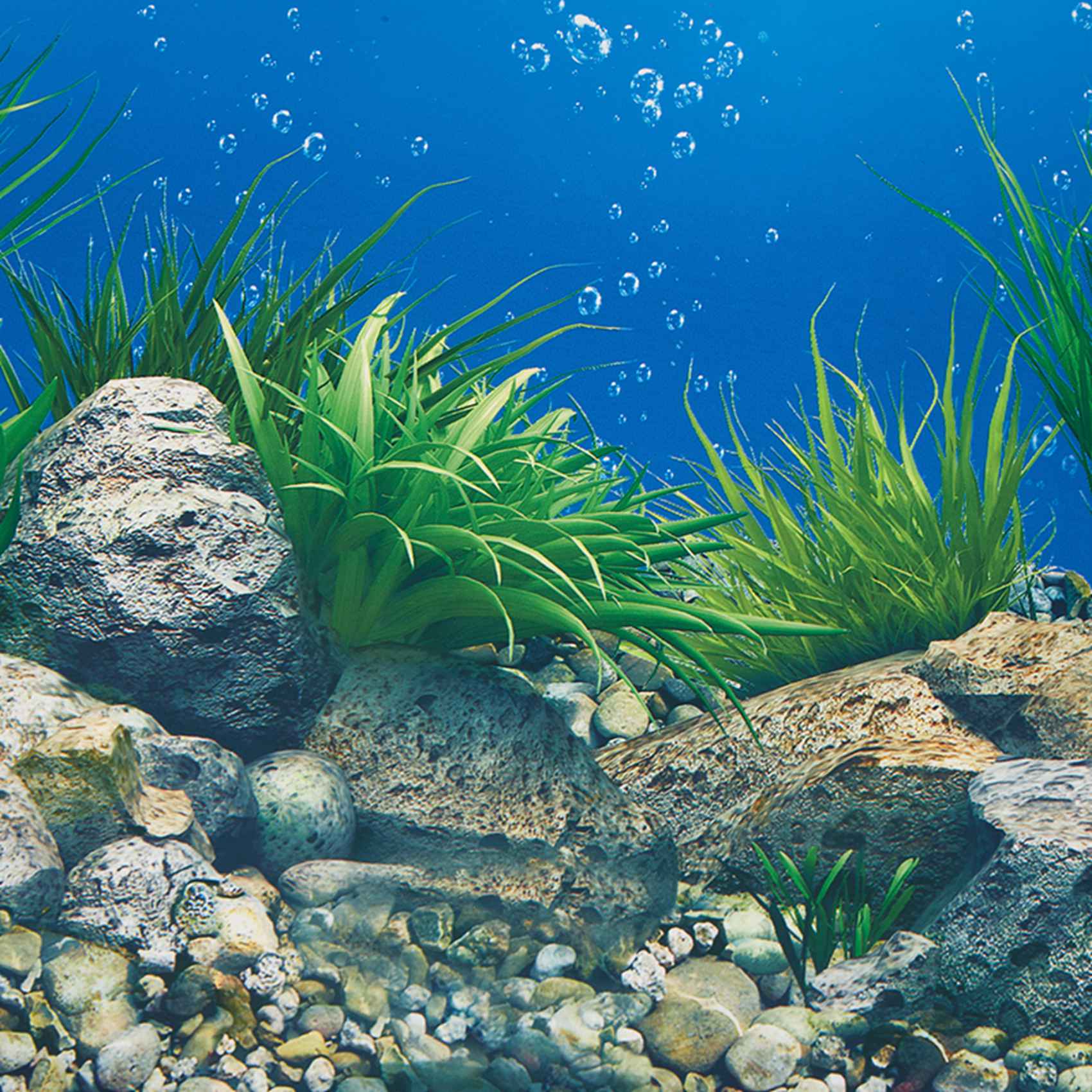 A77I Akvaryum Arka Plan Kağıdı - Aquarium Fish Wallpaper Hd incelemesi ve fiyatı