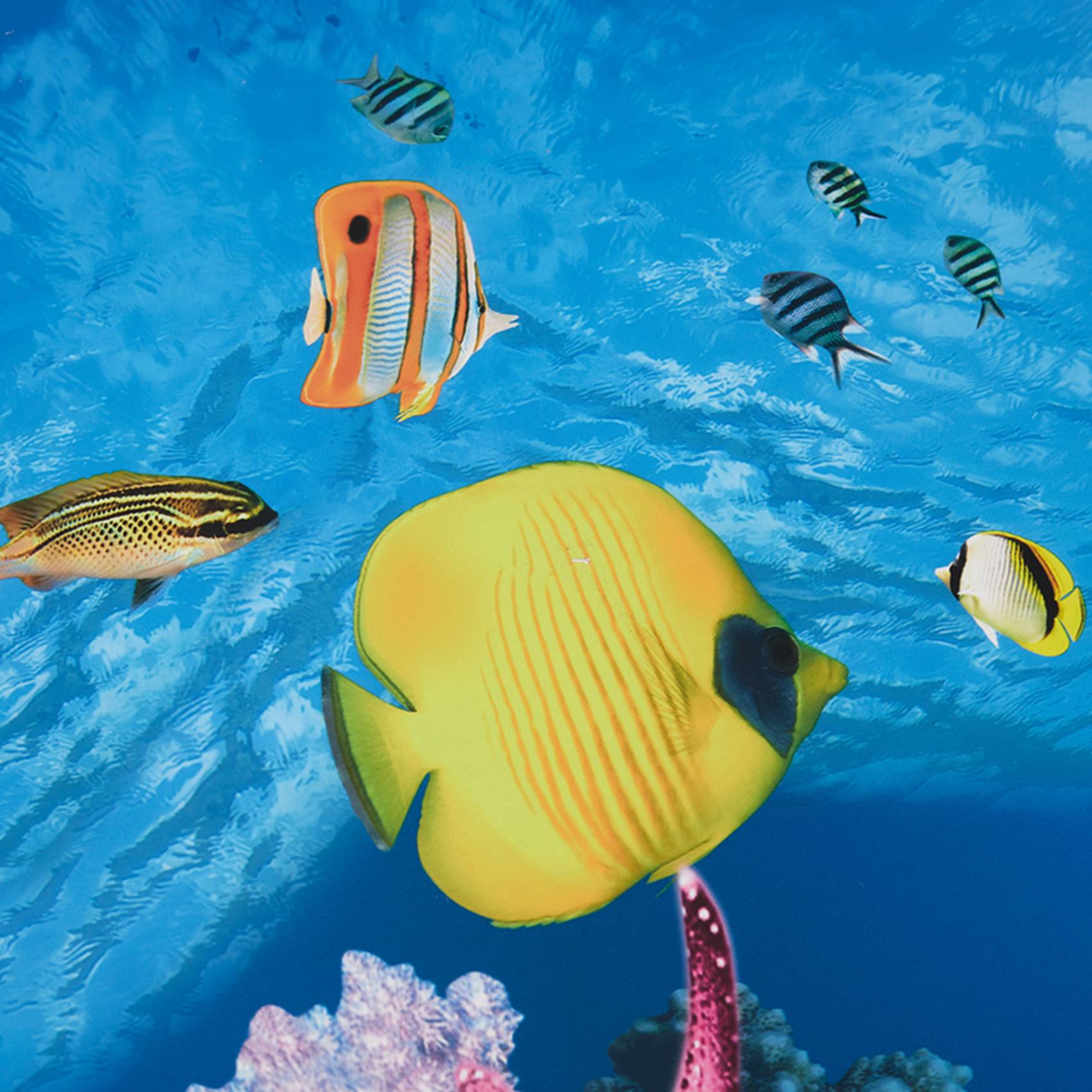 A77I Akvaryum Arka Plan Kağıdı - Aquarium Fish Wallpaper Hd incelemesi ve fiyatı