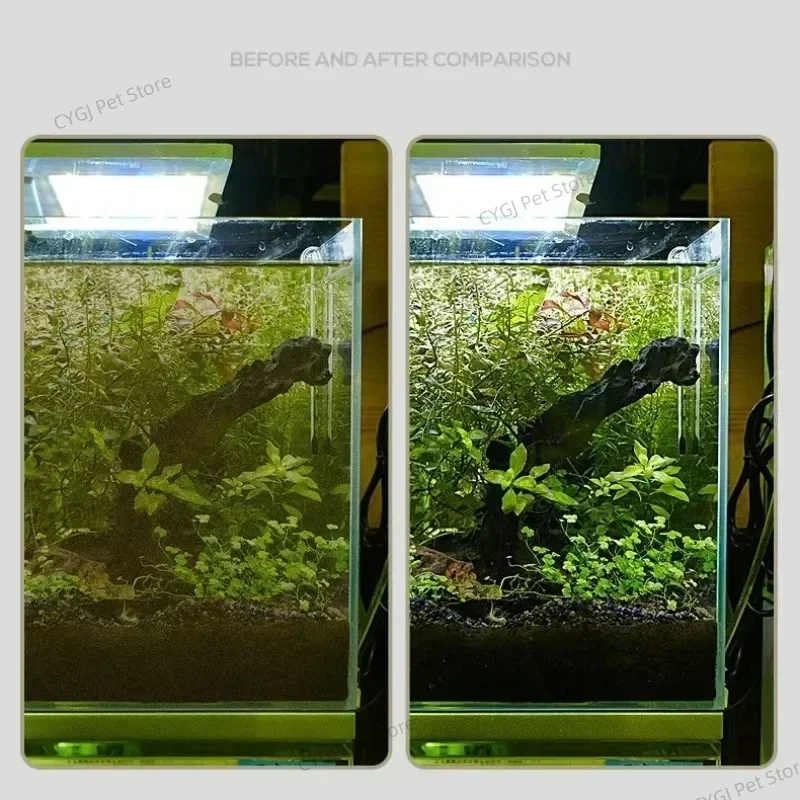 Balık Tankı Temizleme Aracı Dü - Aquarium Fish Maintenance incelemesi ve fiyatı