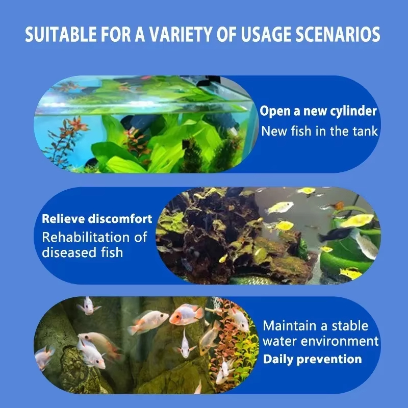 SIKEZHAN Balık Hastalığı Tedav - Aquarium Fish Freshwater incelemesi ve fiyatı