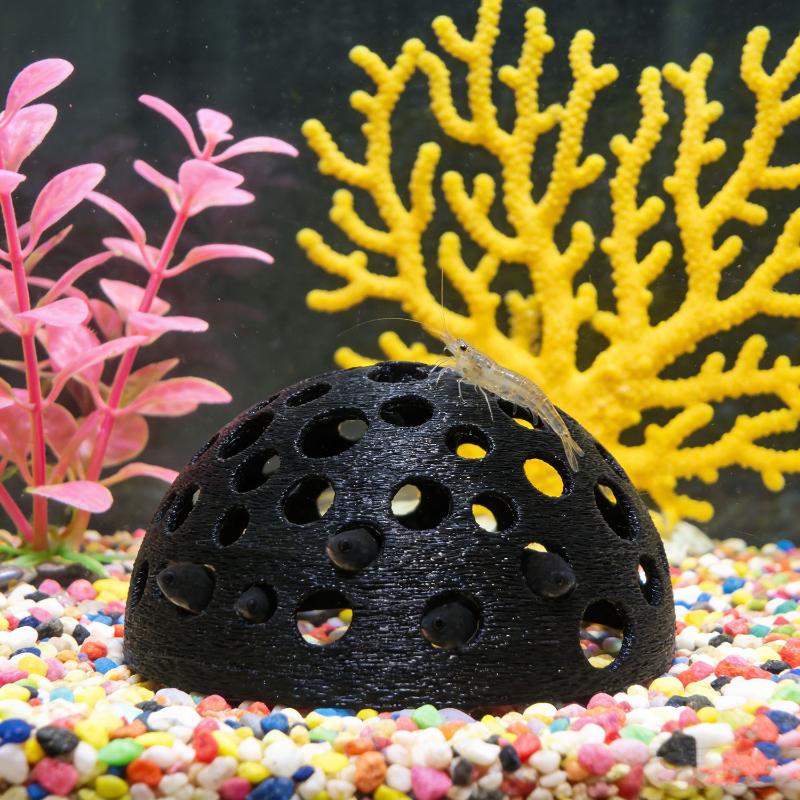Küçük Balıklar İçin Akvaryum G - Aquarium Fish Games incelemesi ve fiyatı