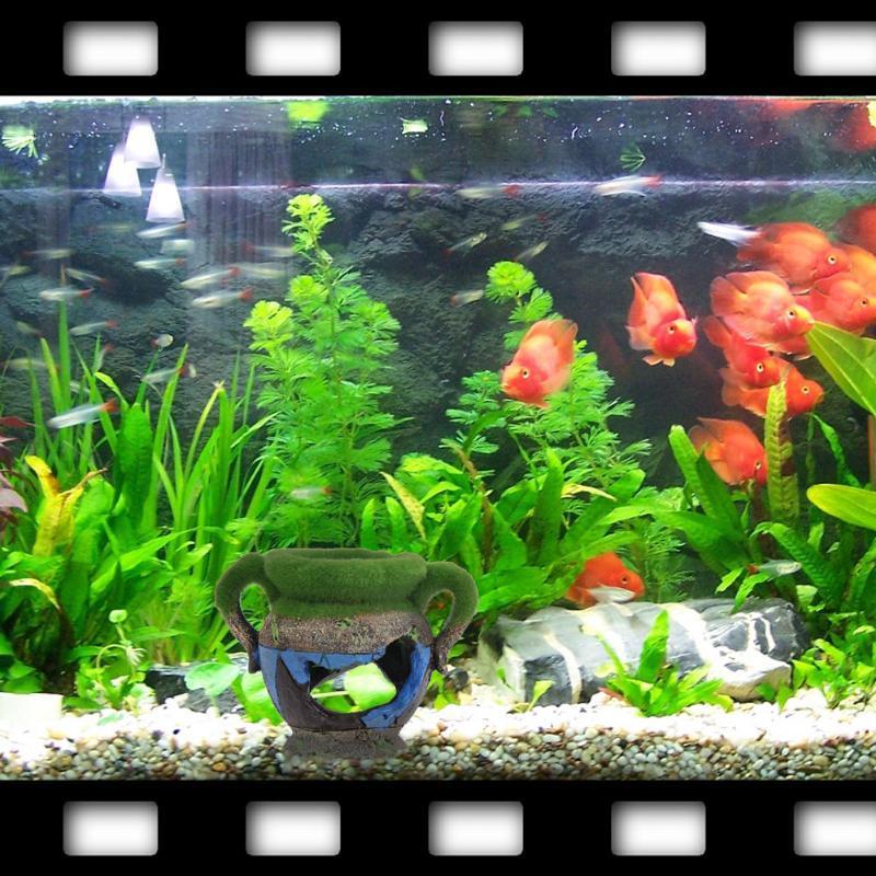 1 adet Reçine Vazo Yosun Akvar - Aquarium Fish Games incelemesi ve fiyatı