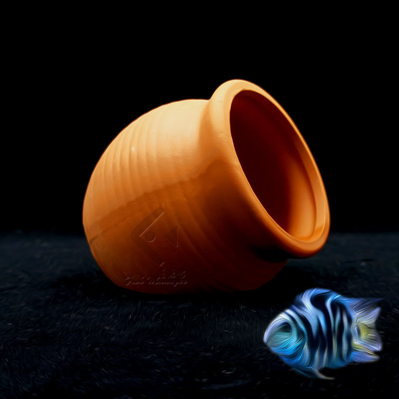 Akvaryum Mini seramik tankı ba - Aquarium Fish Games incelemesi ve fiyatı