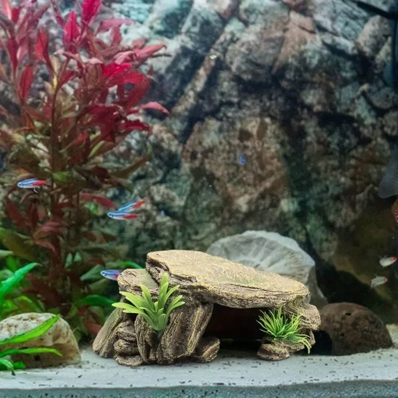 1 adet akvaryum kaplumbağa tan - Aquarium Fish Games incelemesi ve fiyatı