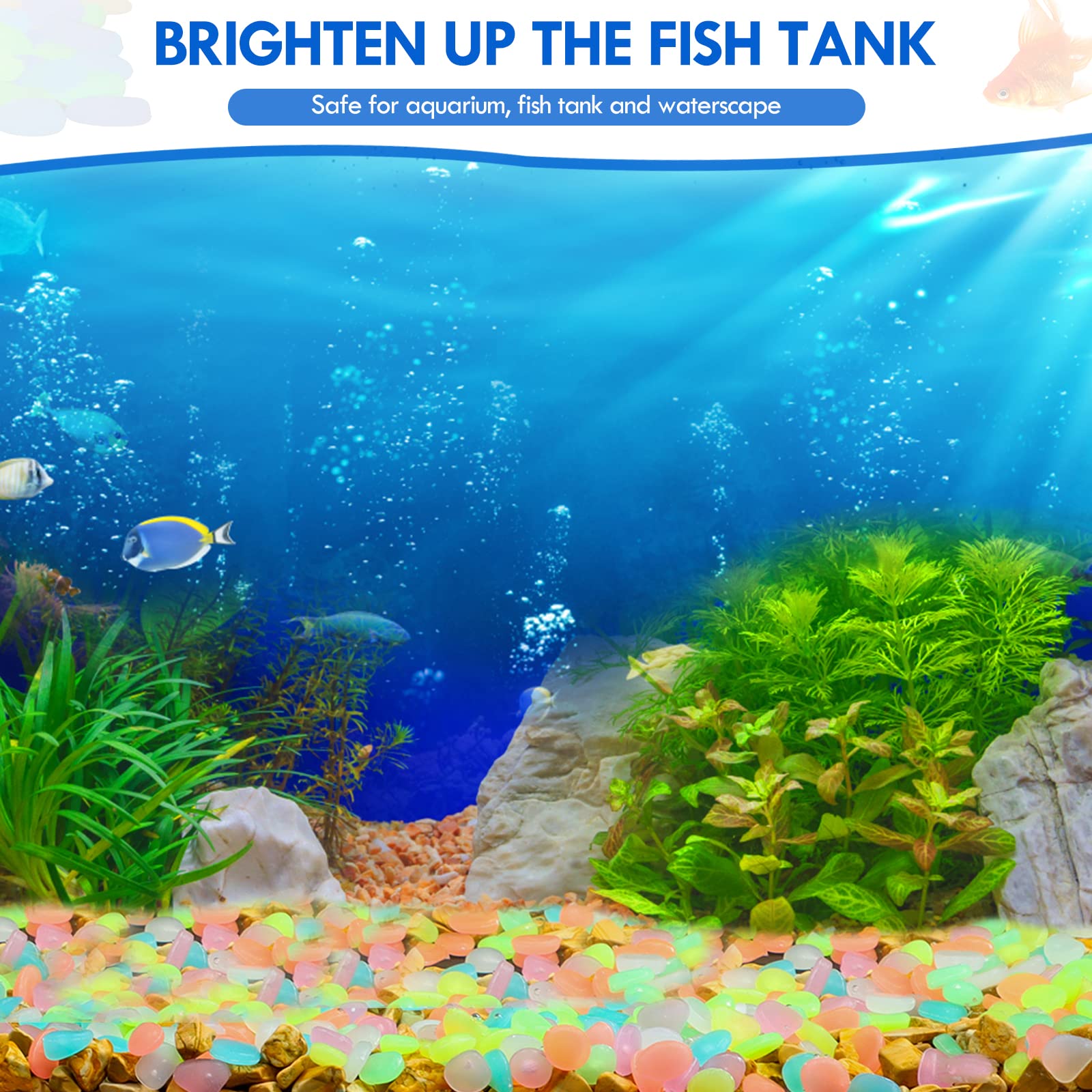 100 Adet Karanlıkta Glow Bahçe - Aquarium Fish Gallery incelemesi ve fiyatı