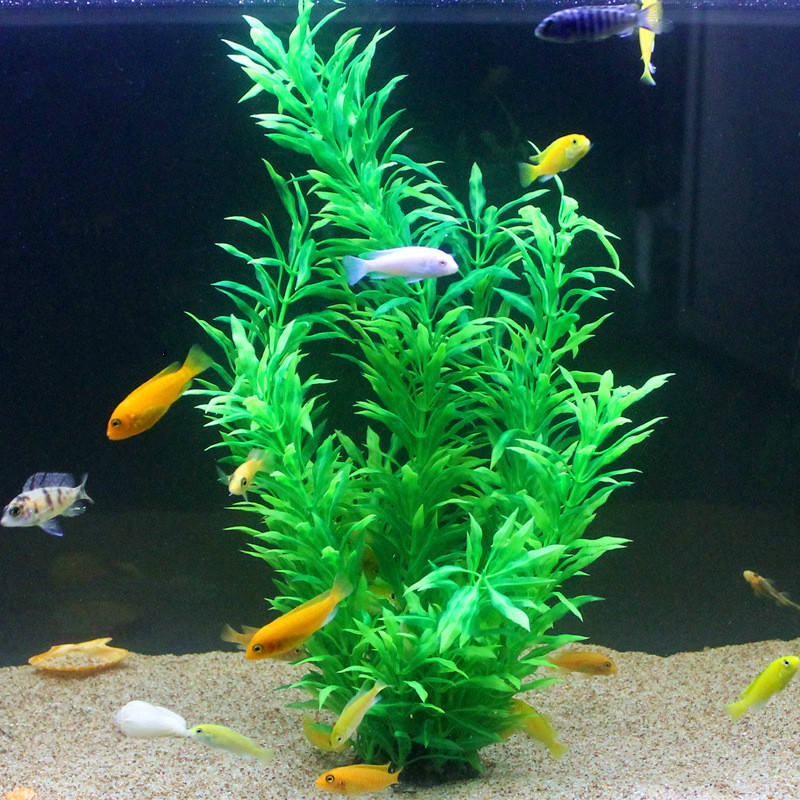 50 CM Yapay Balık Tankı Nadir  - Aquarium Fish Gallery incelemesi ve fiyatı