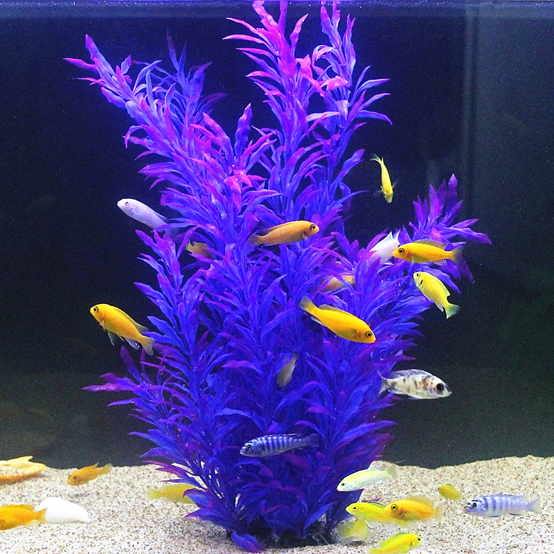 50 CM Yapay Balık Tankı Nadir  - Aquarium Fish Gallery incelemesi ve fiyatı