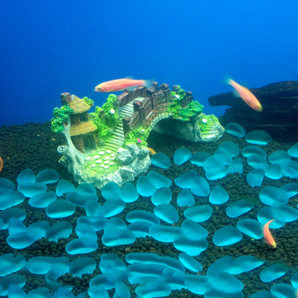 Akvaryum Aksesuarları Çardak A - Aquarium Fish Games incelemesi ve fiyatı