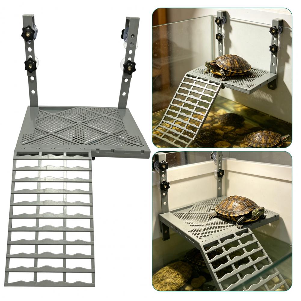 Akvaryum Dekorasyonu Katı Form - Aquarium Fish Gallery incelemesi ve fiyatı