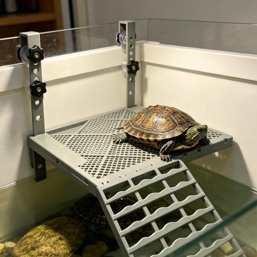 Akvaryum Dekorasyonu Katı Form - Aquarium Fish Gallery incelemesi ve fiyatı