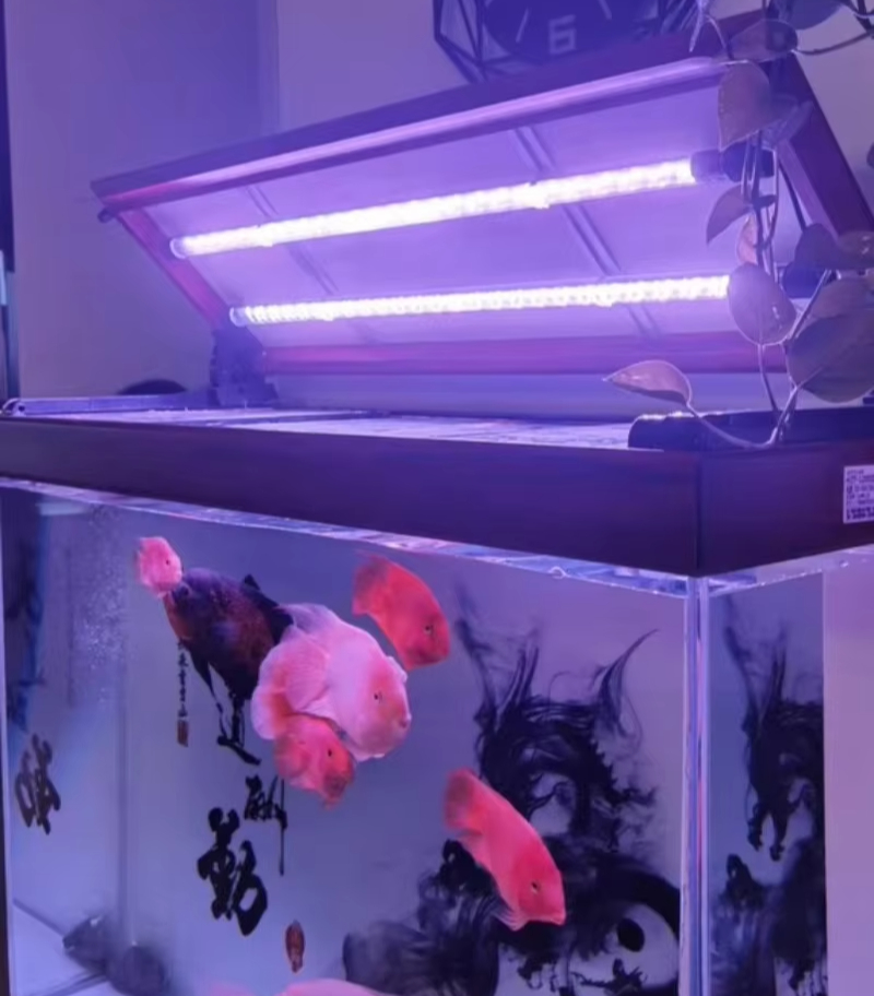 Akvaryum LED Işık Çubuğu Çok R - Aquarium Fish Light Lamp incelemesi ve fiyatı
