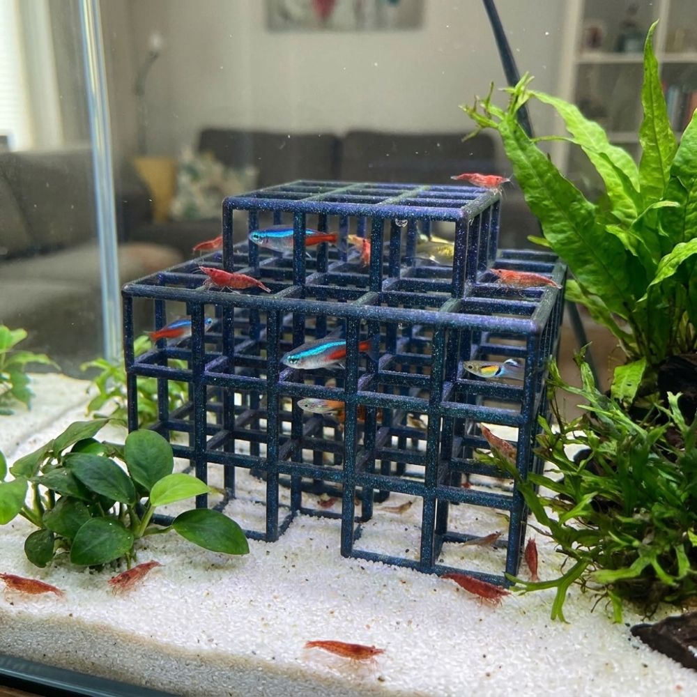 3D Baskılı Balık Karides Sakla - Aquarium Fish Games incelemesi ve fiyatı