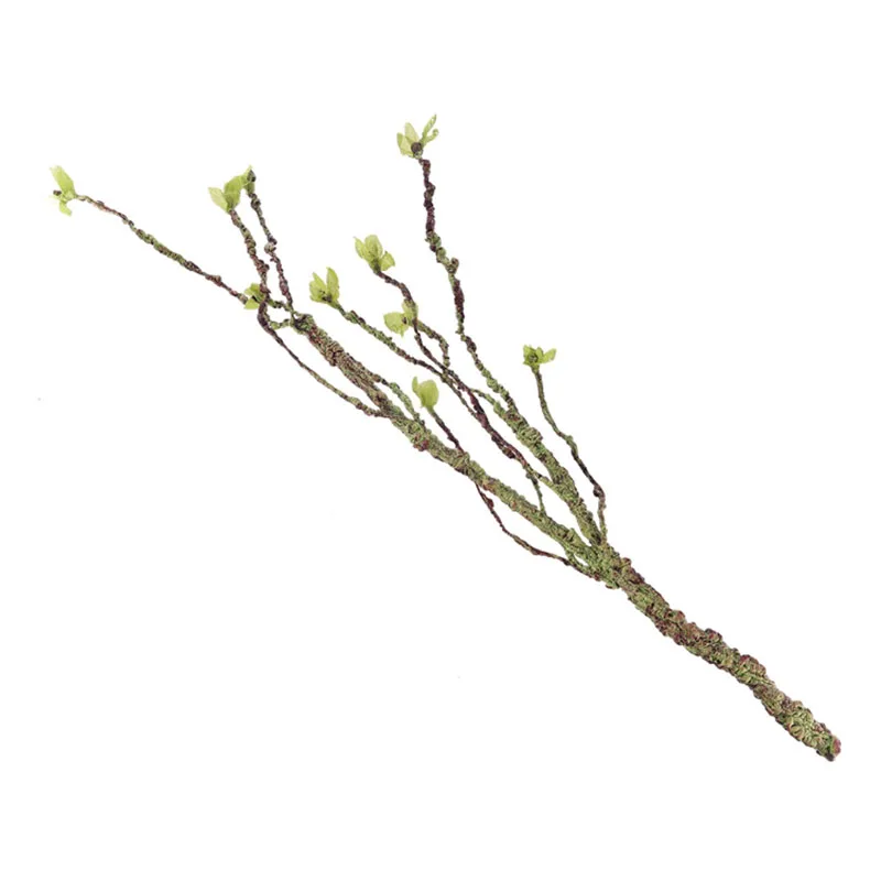 Vines dekor tırmanma dalları r - Aquarium Fish Gallery incelemesi ve fiyatı