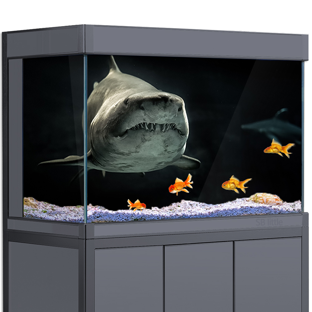Akvaryum Arka Plan 3D Köpekbal - Aquarium Fish Wallpaper Hd incelemesi ve fiyatı